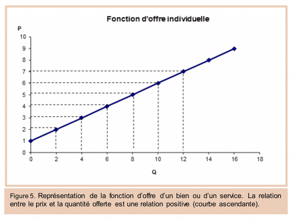 Comment Fonctionnent Les Marchés